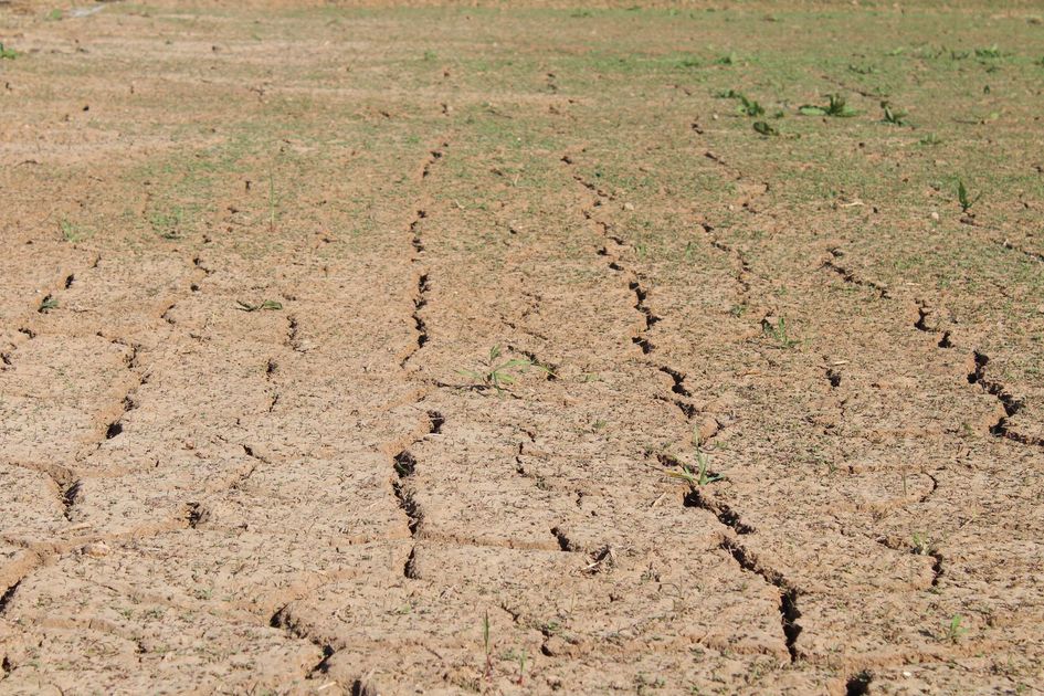 El Niño pone en riesgo el pago de créditos agrícolas en Guayas, Pichincha y El Oro